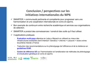 Conclusion / perspectives sur les
initiatives internationales du WP6
 SMARTER = communauté pertinente et compétente pour progresser vers une
harmonisation et une coopération internationale en ovins et caprins.
 Bon exemple de continuum entre recherche académique et services aux organisations
de sélection.
 SMARTER a produit des connaissances / construit des outils qu’il faut utiliser.
 3 applications pratiques
- Evaluation multi-pays attendue en Latxa x Manech en utilisant au mieux des
infrastructures existantes (dont Interbull / GenoEx) + chèvres + Lacaune + races ovines
bouchères Irlande x France
- Traduction des recommandations sur le phénotypage de l’efficience et de la résilience en
guidelines ICAR.
- Centre de référence UE sur l’harmonisation et l’amélioration de méthodes de phénotypage
et d’évaluation génétique en ovins et caprins
 