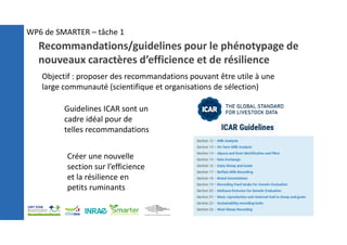 Recommandations/guidelines pour le phénotypage de
nouveaux caractères d’efficience et de résilience
Objectif : proposer des recommandations pouvant être utile à une
large communauté (scientifique et organisations de sélection)
Guidelines ICAR sont un
cadre idéal pour de
telles recommandations
Créer une nouvelle
section sur l’efficience
et la résilience en
petits ruminants
WP6 de SMARTER – tâche 1
 