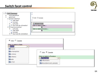 64
Switch facet control
 