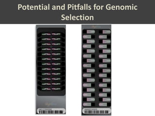 Potential and Pitfalls for Genomic
            Selection
 
