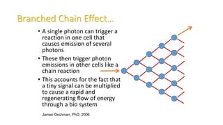 Branched Chain Effect…
• A single photon can trigger a
reaction in one cell that
causes emission of several
photons
• These then trigger photon
emissions in other cells like a
chain reaction
• This accounts for the fact that
a tiny signal can be multiplied
to cause a rapid and
regenerating flow of energy
through a bio system
James Oschman, PhD. 2006
 
