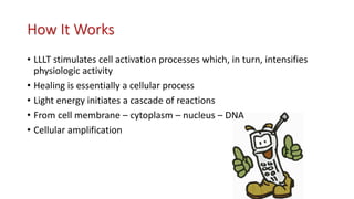 How It Works
• LLLT stimulates cell activation processes which, in turn, intensifies
physiologic activity
• Healing is essentially a cellular process
• Light energy initiates a cascade of reactions
• From cell membrane – cytoplasm – nucleus – DNA
• Cellular amplification
 