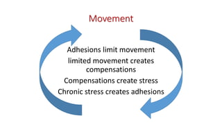 Movement
Adhesions limit movement
limited movement creates
compensations
Compensations create stress
Chronic stress creates adhesions
 
