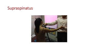 Supraspinatus
 