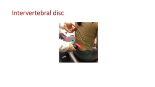Intervertebral disc
 