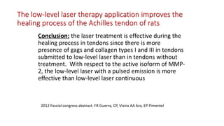 The low-level laser therapy application improves the
healing process of the Achilles tendon of rats
Conclusion: the laser treatment is effective during the
healing process in tendons since there is more
presence of gags and collagen types I and III in tendons
submitted to low-level laser than in tendons without
treatment. With respect to the active isoform of MMP-
2, the low-level laser with a pulsed emission is more
effective than low-level laser continuous
2012 Fascial congress abstract. FR Guerra, CP, Vieira AA Aro, EP Pimentel
 