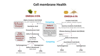 Cell membrane Health
Alpha-Linolenic Acid (ALA)
(e.g., green vegetables, flaxseed oil)
Steridonic Acid
Eicosatraenoic Acid
delta-5 desaturase
EPA/DHA
(e.g., fish oils)
Cyclooxygenase Lipoxygenase
Delta-4 desaturase
(DHA critical)
PGE3 LTB5
(anti-inflammatory) (anti-inflammatory)
Linoleic Acid (LA)
(e.g., corn, safflower, sunflower oil, grains)
Gamma-Linolenic Acid (GLA)
(e.g., evening primrose, borage, black currant seed oils)
Dihomo-Gamma-Linolenic Acid (DGLA)
delta-5 desaturase
Arachidonic Acid (ArA)
(e.g., grain-fed meat)
Cyclooxygenase Lipoxygenase
PGE2 LTB4
(pro-inflammatory) (pro-inflammatory)
Competing
Delta-6
desaturase
Blocked by insulin,
trans fats, alcohol,
Stress
OMEGA-3 EFA
PGE1
(anti-inflammatory)
OMEGA-6 FA
Competing
B3, B6, C, zinc,
mg. (nutrient
co-enzyme)
Ginger,
turmeric,
bioflavonoids,
boswelia (co-
enzyme)
Cell membrane
 