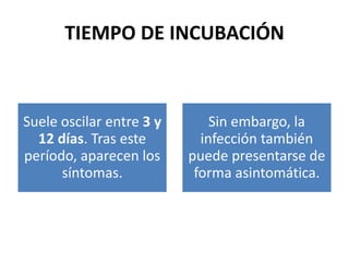 TIEMPO DE INCUBACIÓN
Suele oscilar entre 3 y
12 días. Tras este
período, aparecen los
síntomas.
Sin embargo, la
infección también
puede presentarse de
forma asintomática.
 