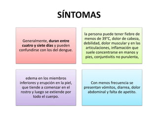 SÍNTOMAS
Generalmente, duran entre
cuatro y siete días y pueden
confundirse con los del dengue.
la persona puede tener fiebre de
menos de 39°C, dolor de cabeza,
debilidad, dolor muscular y en las
articulaciones, inflamación que
suele concentrarse en manos y
pies, conjuntivitis no purulenta,
edema en los miembros
inferiores y erupción en la piel,
que tiende a comenzar en el
rostro y luego se extiende por
todo el cuerpo.
Con menos frecuencia se
presentan vómitos, diarrea, dolor
abdominal y falta de apetito.
 