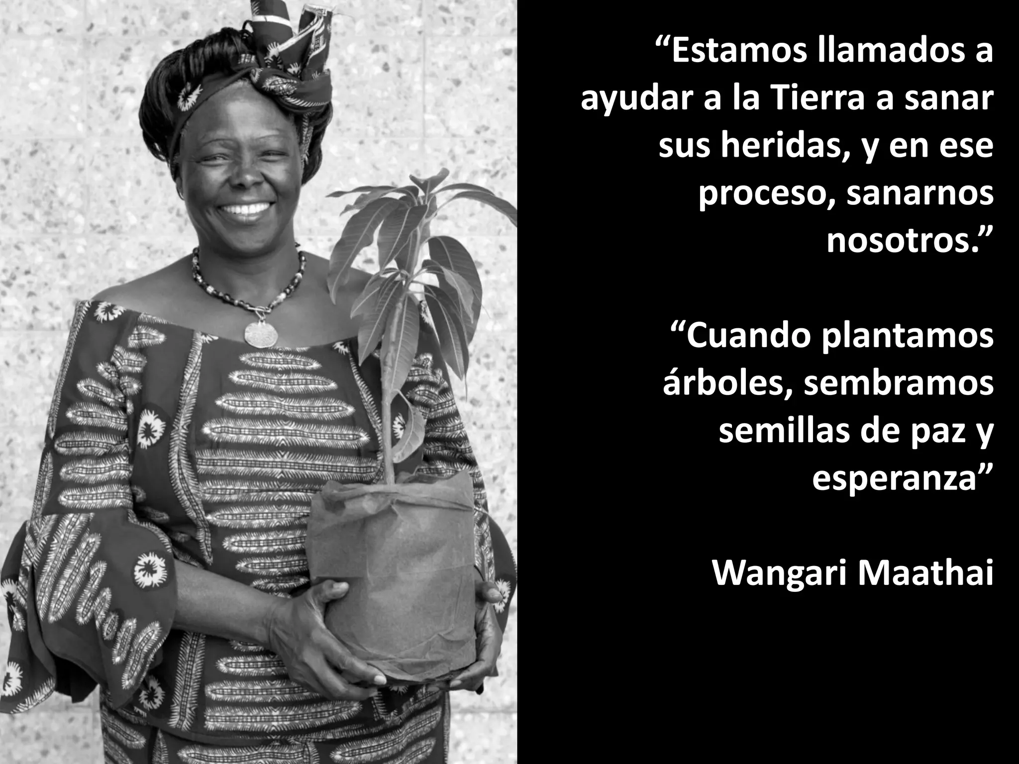 “Estamos llamados a
ayudar a la Tierra a sanar
sus heridas, y en ese
proceso, sanarnos
nosotros.”
“Cuando plantamos
árboles, sembramos
semillas de paz y
esperanza”
Wangari Maathai
 