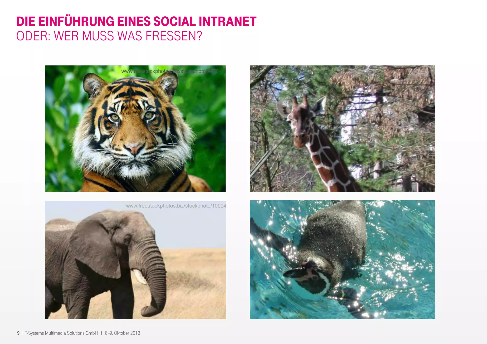 9 I T-Systems Multimedia Solutions GmbH I 8.-9. Oktober 2013
DIE EINFÜHRUNG EINES SOCIAL INTRANET
ODER: WER MUSS WAS FRESSEN?
Foto muss ersetzt werden
www.freestockphotos.biz/stockphoto/9470
www.freestockphotos.biz/stockphoto/10004
 