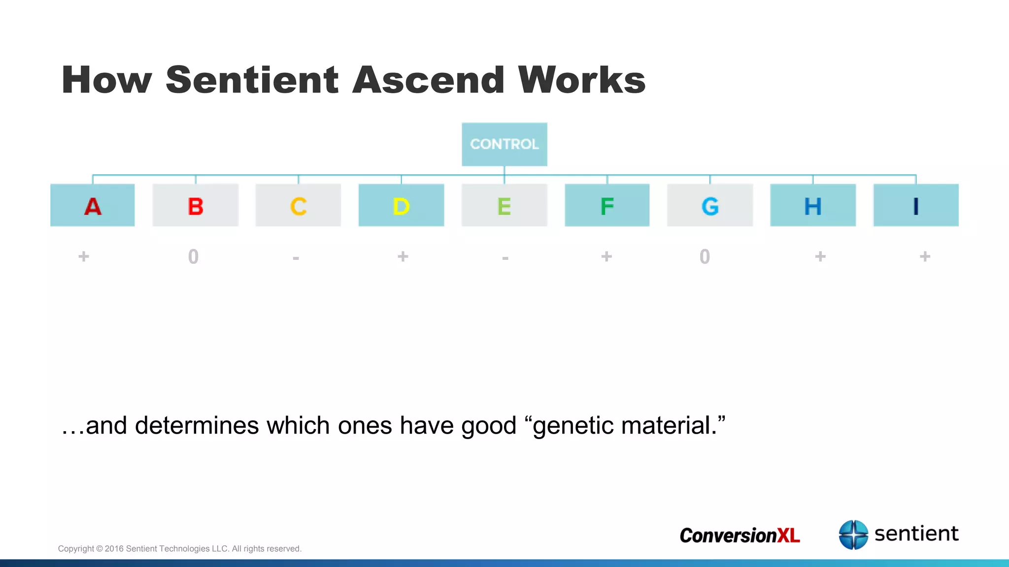Copyright © 2016 Sentient Technologies LLC. All rights reserved.
How Sentient Ascend Works
+ 0 - + - + 0 + +
…and determines which ones have good “genetic material.”
 