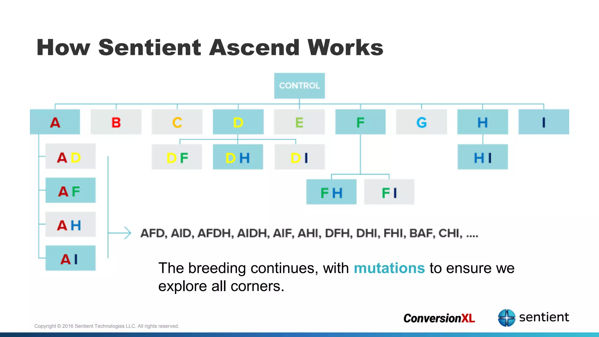 Copyright © 2016 Sentient Technologies LLC. All rights reserved.
How Sentient Ascend Works
The breeding continues, with mutations to ensure we
explore all corners.
 