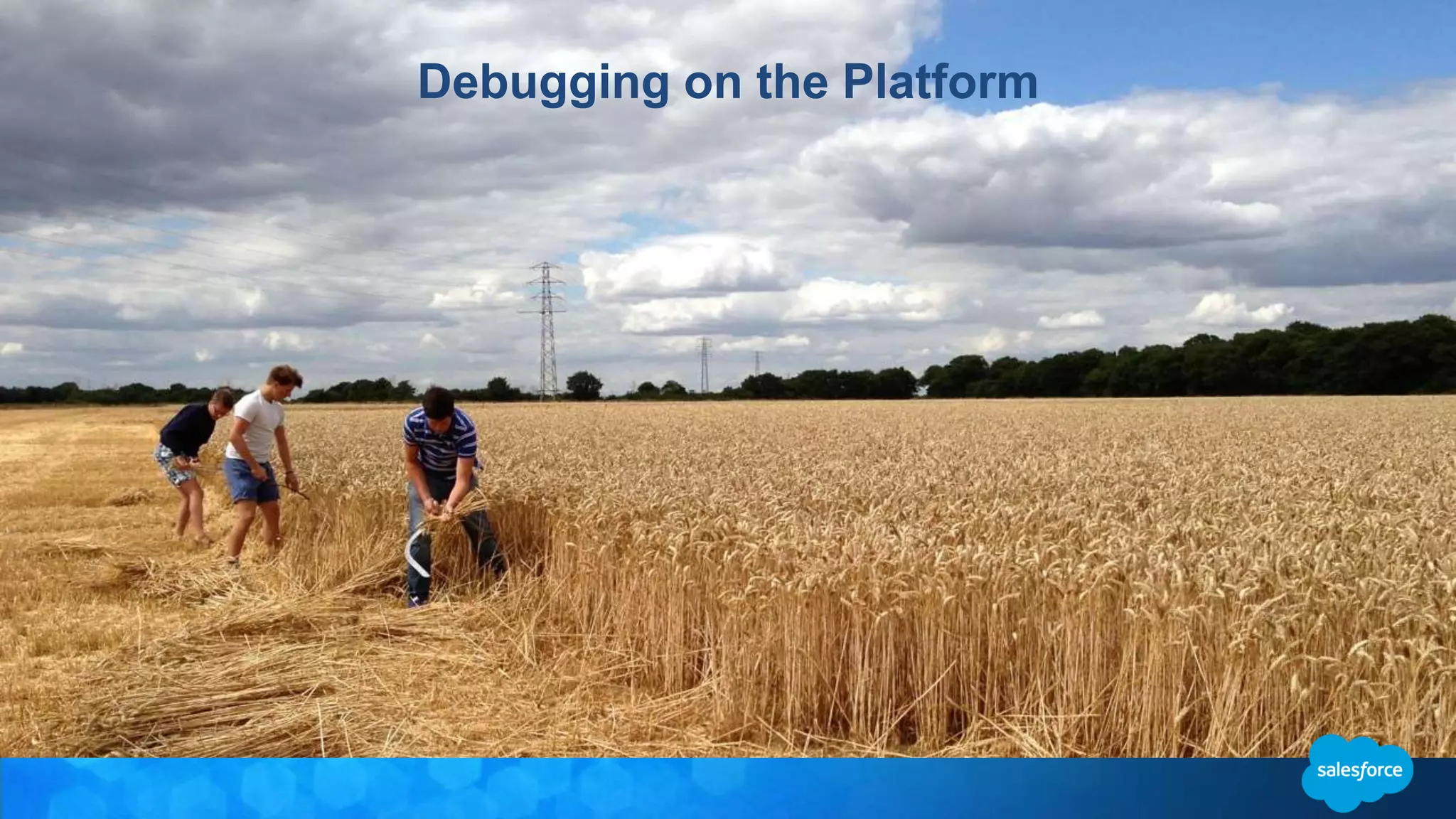 Debugging on the Platform 