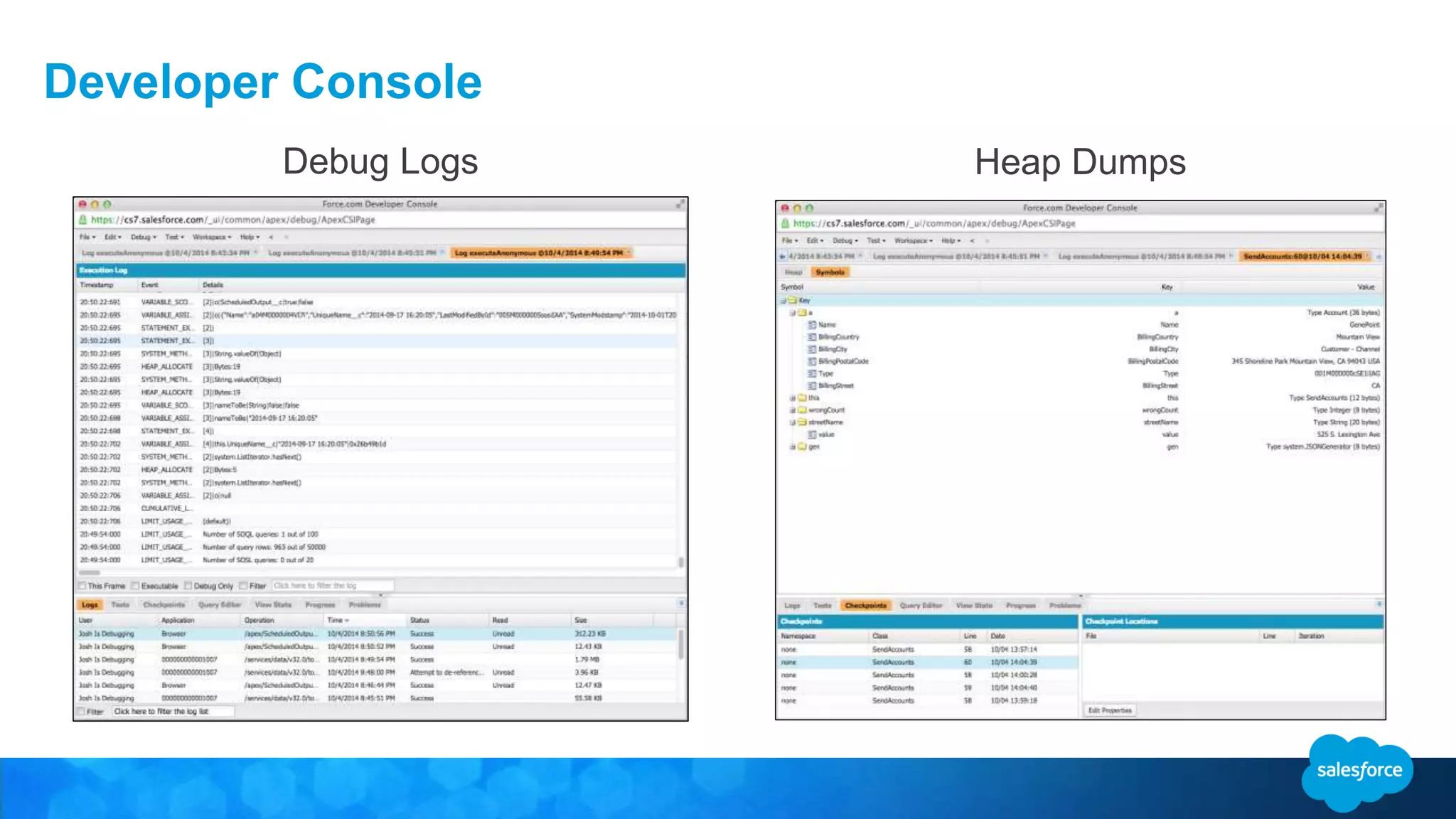 Developer Console Heap DumpsDebug Logs 