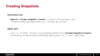 Mapr Touch A Guide to Data Versioning with MapR Snapshots | PPTX