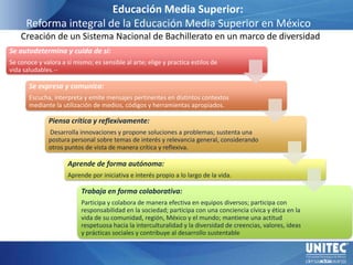 Educación Media Superior:        Reforma integral de la Educación Media Superior en México      Creación de un Sistema Nacional de Bachillerato en un marco de diversidad