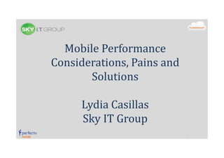 Mobile Performance
Considerations, Pains and
Solutions
Lydia Casillas
Sky IT Group

 