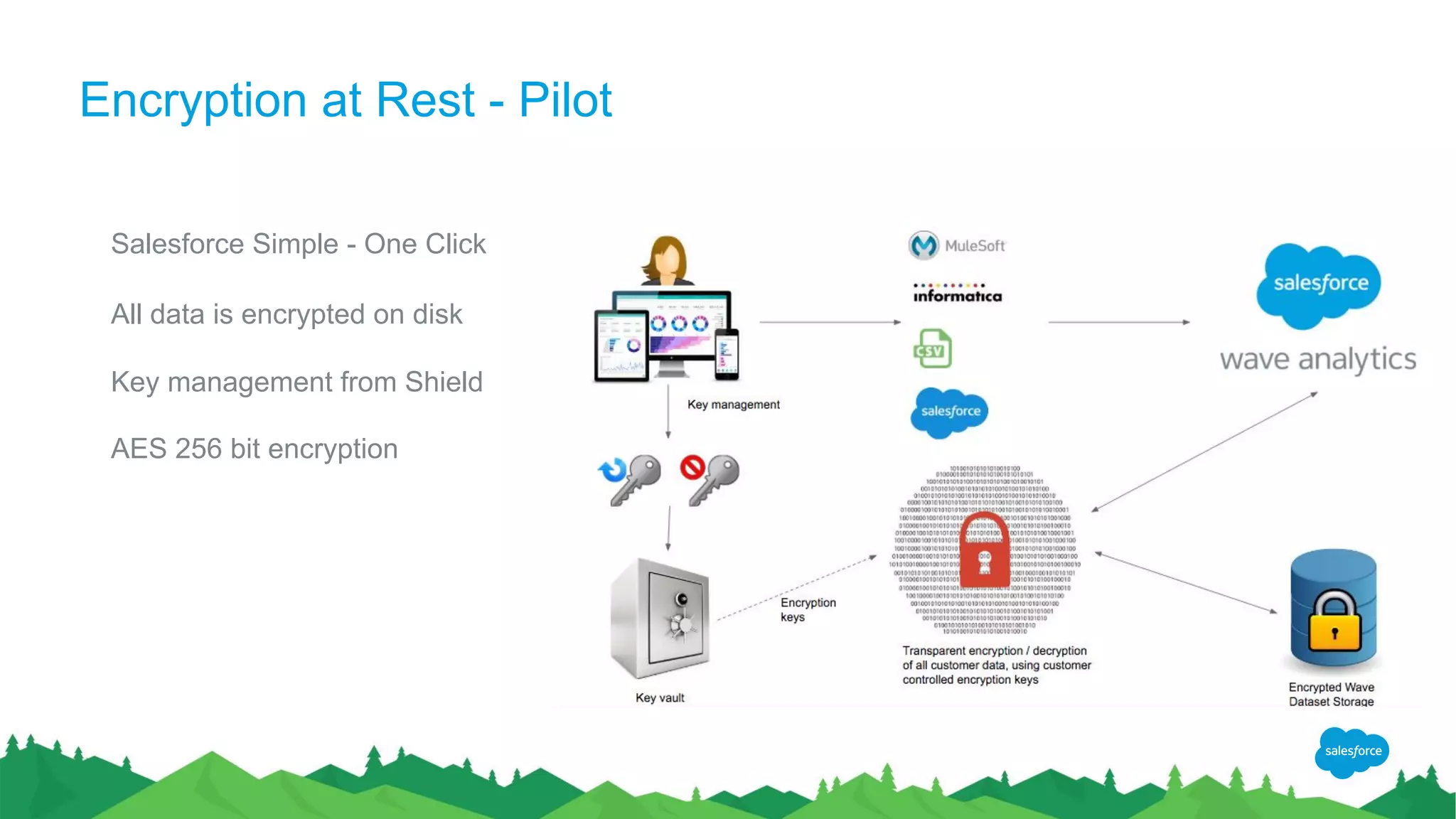 Encryption at Rest - Pilot
​ Salesforce Simple - One Click
​
​ All data is encrypted on disk
​
​ Key management from Shield
​
​ AES 256 bit encryption
 