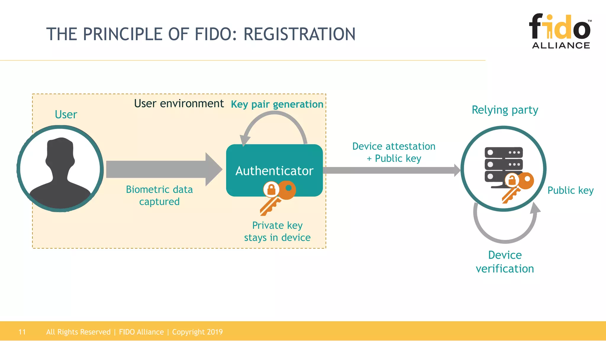 User environment
All Rights Reserved | FIDO Alliance | Copyright 201911
THE PRINCIPLE OF FIDO: REGISTRATION
Authenticator
Biometric data
captured
Key pair generation
Device attestation
+ Public key
Private key
stays in device
User Relying party
Public key
Device
verification
 