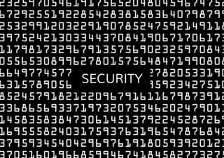 SECURITY
 