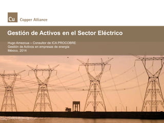Gestión de Activos en el Sector Eléctrico
Hugo Amezcua – Consultor de ICA PROCOBRE
Gestión de Activos en empresas de energía
México, 2014
 