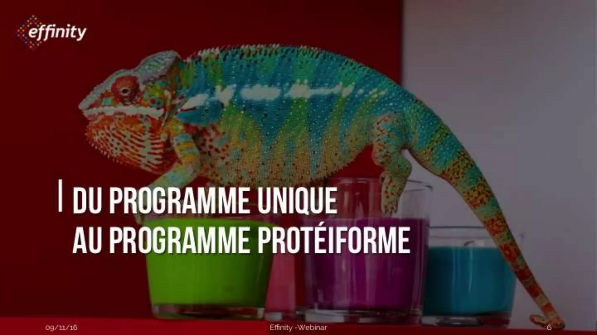 #ECP16 #EFF
STAND 2.2 C
Du programme unique
au programme protéiforme
09/11/2016 Effinity -Webinar 6
 
