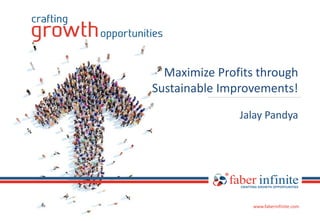 www.faberinfinite.comwww.faberinfinite.com
www.faberinfinite.com
Maximize Profits through
Sustainable Improvements!
Jalay Pandya
 