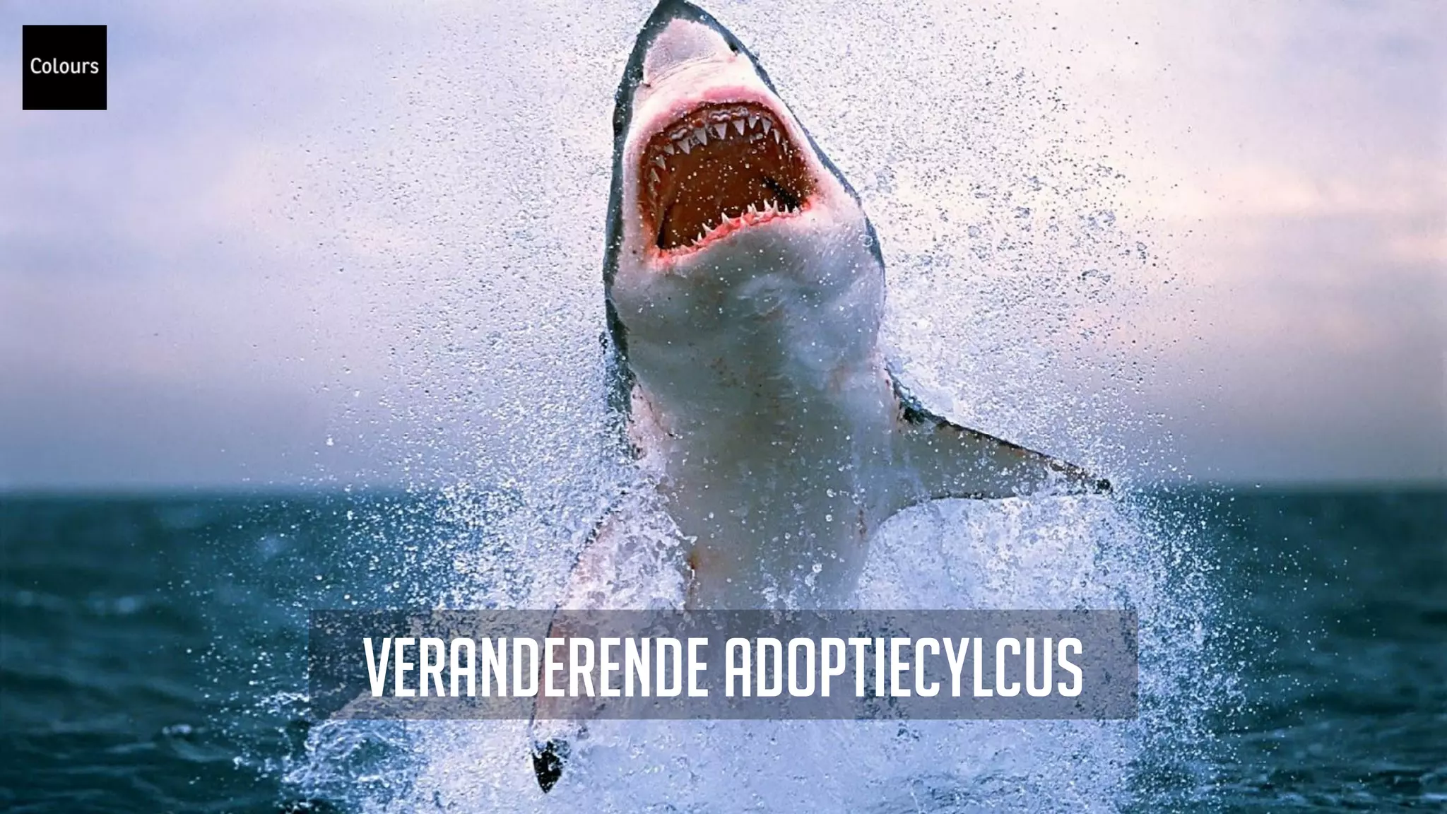 Veranderende adoptiecylcus
 