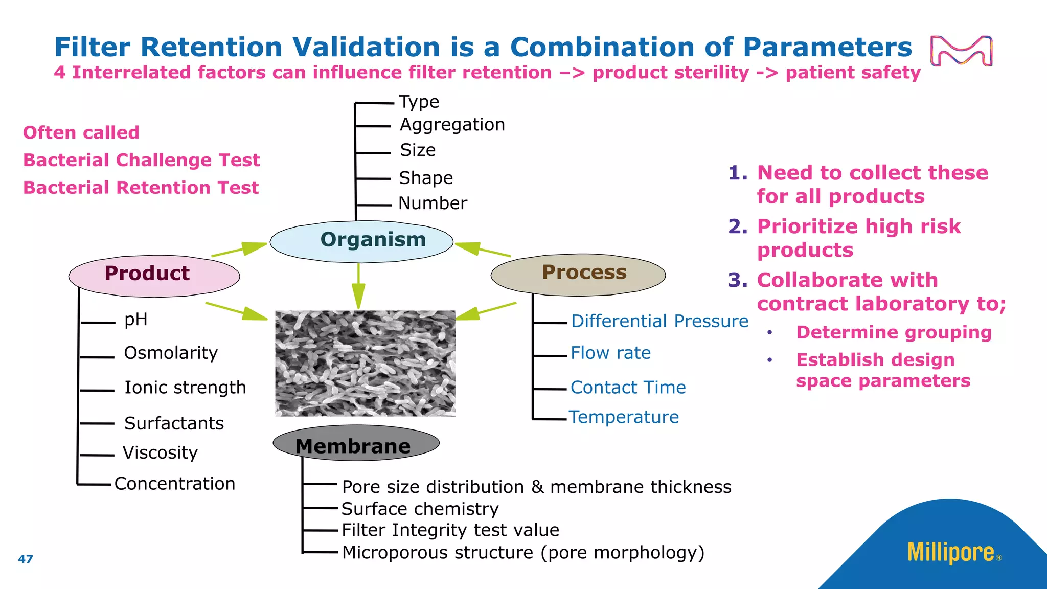 4 Interrelated factors can influence filter retention –> product sterility -> patient safety
Filter Retention Validation is a Combination of Parameters
Process
Size
Shape
pH
Osmolarity
Ionic strength
Surfactants
Differential Pressure
Flow rate
Microporous structure (pore morphology)
Temperature
Pore size distribution & membrane thickness
Membrane
Surface chemistry
Contact Time
Number
Organism
Product
Viscosity
Aggregation
Type
Concentration
47
1. Need to collect these
for all products
2. Prioritize high risk
products
3. Collaborate with
contract laboratory to;
• Determine grouping
• Establish design
space parameters
Often called
Bacterial Challenge Test
Bacterial Retention Test
Filter Integrity test value
 