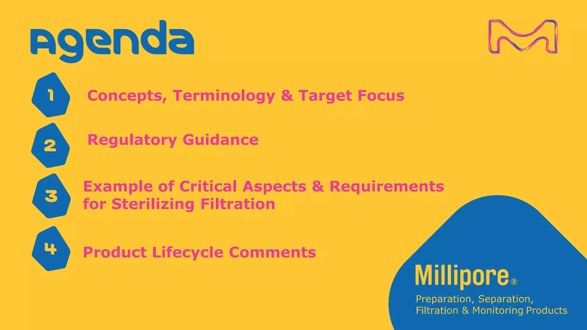 Agenda
1 Concepts, Terminology & Target Focus
2 Regulatory Guidance
3
Example of Critical Aspects & Requirements
for Sterilizing Filtration
4 Product Lifecycle Comments
 