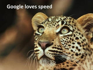 Google loves speed
 