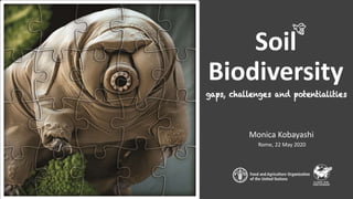Soil
Biodiversity
Rome, 22 May 2020
Monica Kobayashi
 