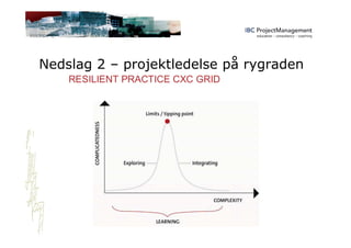 Nedslag 2 – projektledelse på rygraden
 