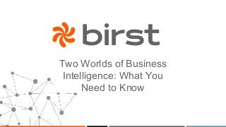 Two Worlds of Business
Intelligence: What You
Need to Know
 