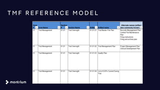 T M F R E F E R E N C E M O D E L
 