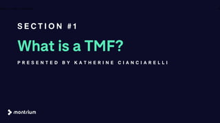 What is a TMF?
S E C T I O N # 1
9A B O U T T H E C O M P A N Y
P R E S E N T E D B Y K A T H E R I N E C I A N C I A R E L L I
 