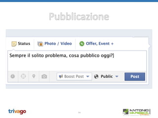 14
Pubblicazione
 