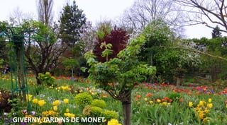 GIVERNY, JARDINS DE MONET
 