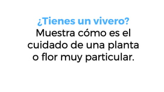 ¿Tienes un vivero?
Muestra cómo es el
cuidado de una planta
o ﬂor muy particular.
 