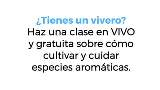 ¿Tienes un vivero?
Haz una clase en VIVO
y gratuita sobre cómo
cultivar y cuidar
especies aromáticas.
 