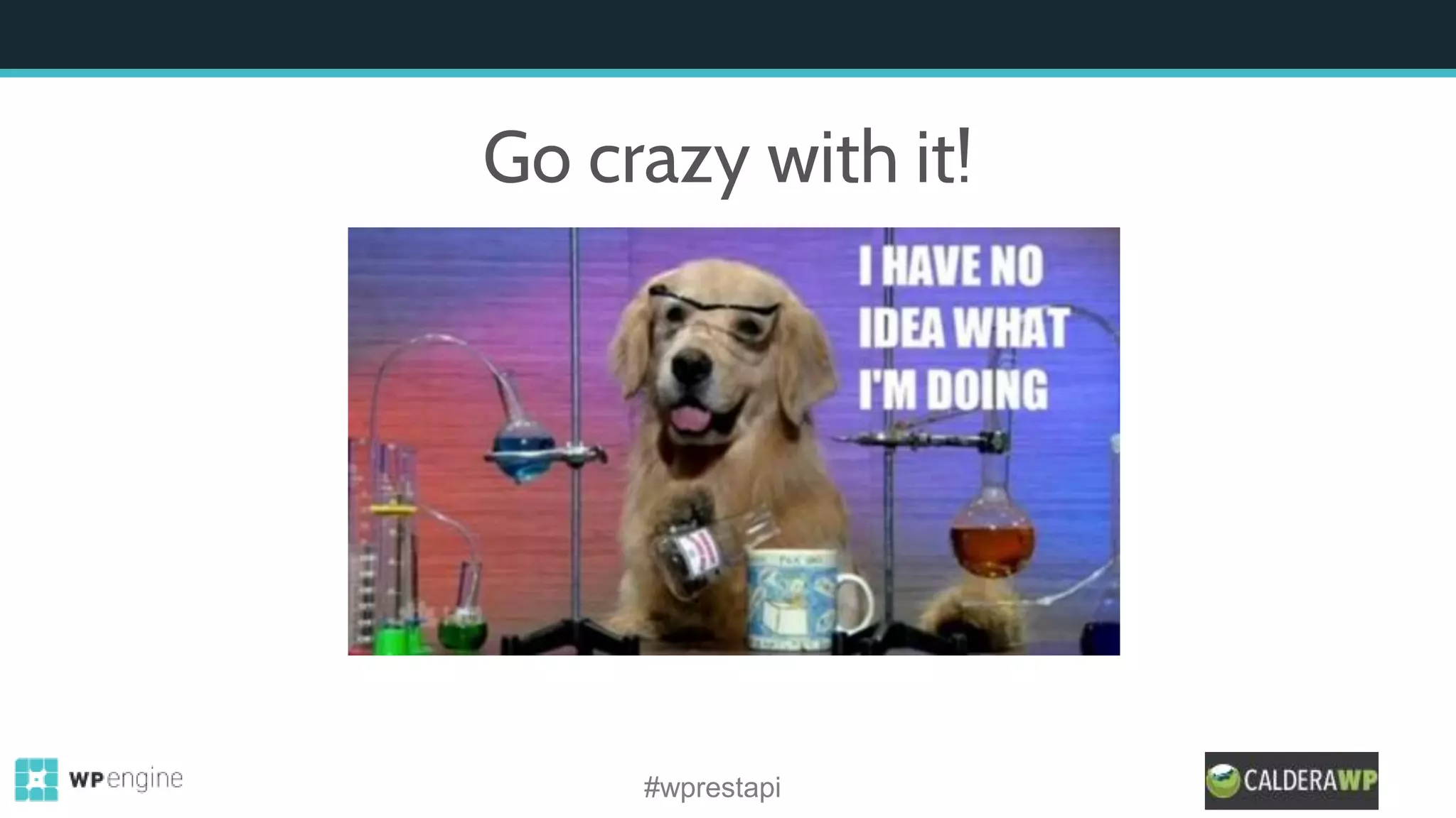 Go crazy with it!
#wprestapi
 