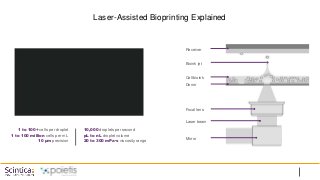 Laser-Assisted Bioprinting Explained
Receiver
Bioink jet
Cell bioink
Donor
Focal lens
Laser beam
Mirror
10,000 droplets per second
pL to nL droplet volume
20 to 300 mPa·s viscosity range
1 to 100+ cells per droplet
1 to 100 million cells per mL
10 µm precision
 