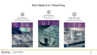Multi-Modal 3-in-1 Bioprinting
Laser assisted
Droplets – from pL to nL
Cells & medium
Inkjet/micro-valve
Drops – up to 100nL
Stable liquid-type biomaterials
Bio-extrusion
Filaments – up to 100µm
Viscous, gel-type biomaterials
 