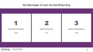 Key Advantages of Laser-Assisted Bioprinting
2
Superior Resolution
1
Unrivaled Cell Viability
3
Spatial Cell Distribution
 