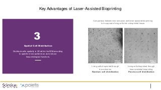 500µm 500µm
Key Advantages of Laser-Assisted Bioprinting
Comparision between bio-extrusion and laser-assisted bioprinting
to incorporate living cells into a bioprinted tissue
3
Spatial Cell Distribution
Distribute cells spatially in 3D within the ECM according
to specific micro-patterns so as to induce
tissue biological functions.
Living cells bioprinted through
bio-extrusion
Random cell distribution
Living cells bioprinted through
laser-assisted bioprinting
Precise cell distribution
 