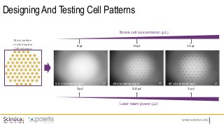 WWW.SCINTICA.COM
Designing And Testing Cell Patterns
Micro-pattern
of cell droplets
- CAD software -
Bioink cell concentration (µL)
10 µl
Laser beam power (µJ)
12 µl
8 µl
0-5 microbeads/spot
2 µJ
~20 microbeads/spot
2,5 µJ
~30 microbeads/spot
3 µJ
 