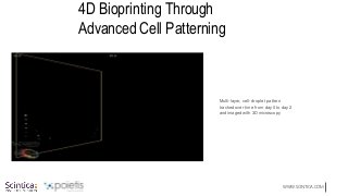 WWW.SCINTICA.COM
4D Bioprinting Through
Advanced Cell Patterning
Multi-layer, cell-droplet pattern
tracked over time from day 0 to day 2
and imaged with 3D microscopy
 