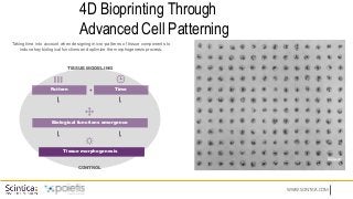 WWW.SCINTICA.COM
Pattern Time
Biological functions emergence
Tissue morphogenesis
4D Bioprinting Through
Advanced Cell Patterning
500µm
+
Taking time into account when designing micro-patterns of tissue components to
induce key biological functions and optimize the morphogenesis process.
TISSUE MODELING
CONTROL
 