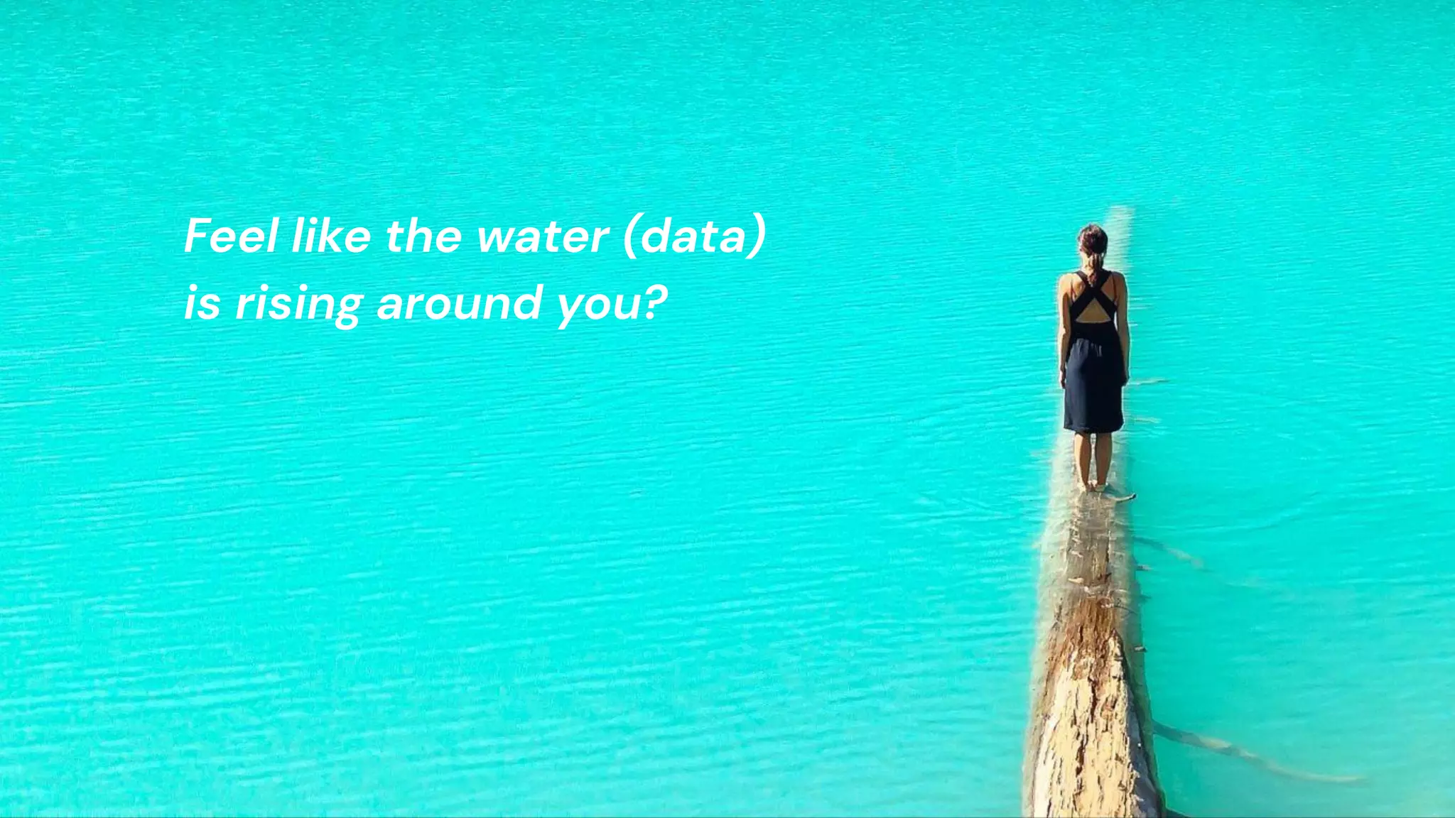 chronosphere.io
Feel like the water (data)
is rising around you?
 